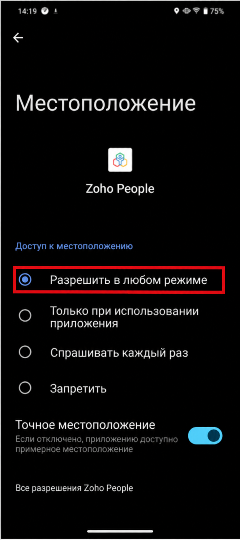 Постоянный доступ выбран, точное местоположение включено